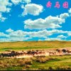 刑天的头像