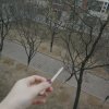 不喜吵的头像