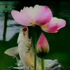 老高～的头像
