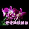 默然的头像