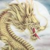 青莲阁的头像