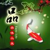 品味人生的头像