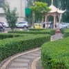 华盛顿的头像