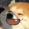 安生‮♡‭的头像