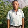 诺言的头像