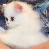 小爽的头像