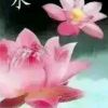 脑海里你的笑容太彻底/的头像