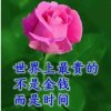 曾经最美的头像