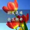 晚霞的头像