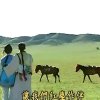 那些年的头像