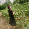 乐意人生的头像