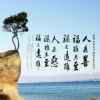 闲暇时光（暂退）的头像
