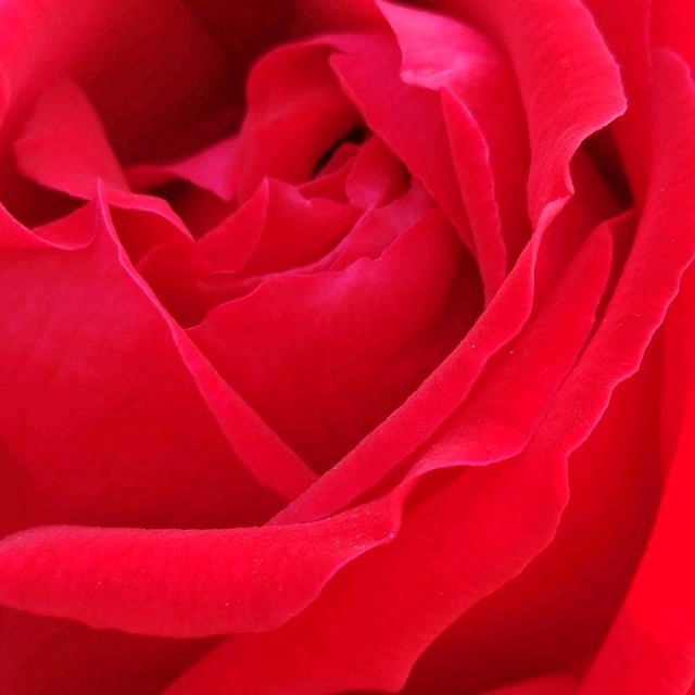 多少次想你在线听(原唱是山风)，无人知名演唱点播:71次