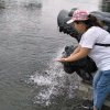 小公主的头像