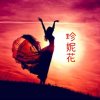 珍妮花拒私的头像