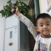 春泥的头像