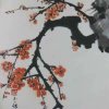 雨露的头像