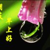 宁静的头像