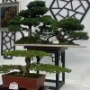 顾维洁的头像
