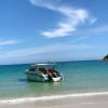海阔天空的头像