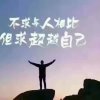 既如此，便如此。的头像