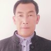 自由的头像