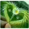 风雨人生路的头像
