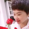 杨姐《感恩停幣》的头像