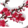 传奇幸福傲雪的头像