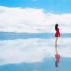 ℡ 曼陀罗♪的头像