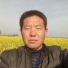 清风明月的头像