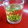 茶语的头像