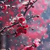 松鹤的头像
