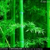 情悦快乐(午夜徒)的头像