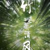 …竹影清风（淡退）的头像