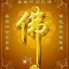 静苑的头像