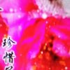 ！！！无语的头像