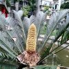 快乐就是健康的头像