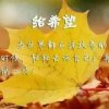 从头再来的头像