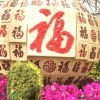 萌萌的头像
