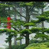 王牌黄山松的头像