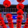 愚爱~愿得一人心小号勿支持此号不回访的头像