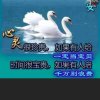 不忘初心的头像