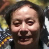 盛夏好游泳的头像