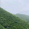 幸福一家的头像