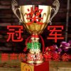 秦声代秦韵的头像