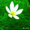 青草地【退出】的头像