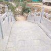 s的头像