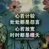 缘爱顺其自然、随遇而安的头像