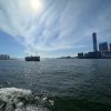 YLJ玉露的头像